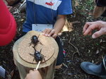 DSCF4105.jpg